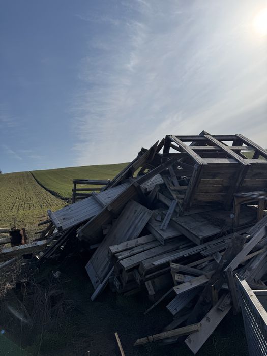 Vand lemn brad pentru constructii