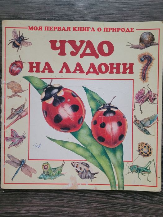 Продам рабочие тетради  учебники