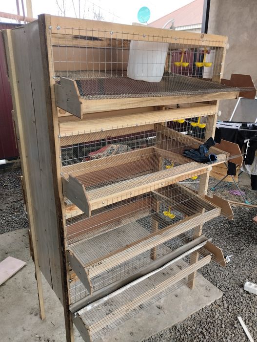 Бодене балапандар