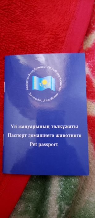 Продам щенка охотник