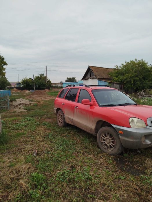 Обмен на крс либо баран