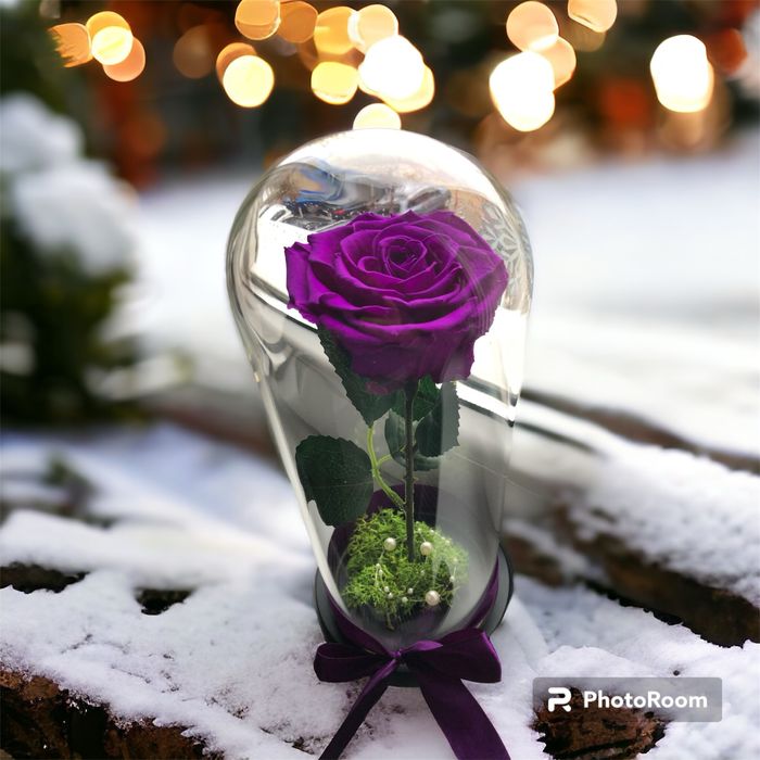 Trandafir mov in cupola cristalina de 17-20-25 cm