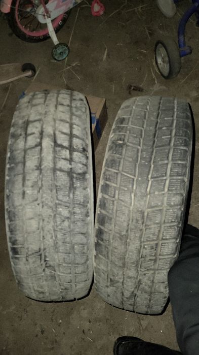 Қысқы балон Корейски