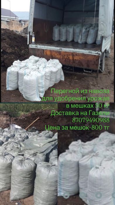 Перегной из навоза