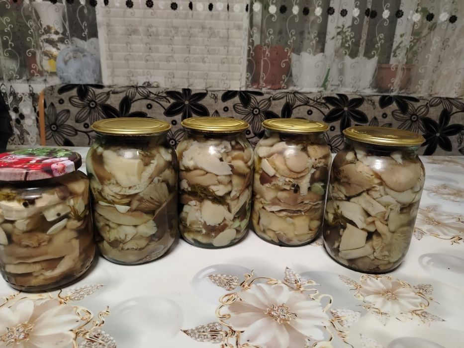 грибы маринованные