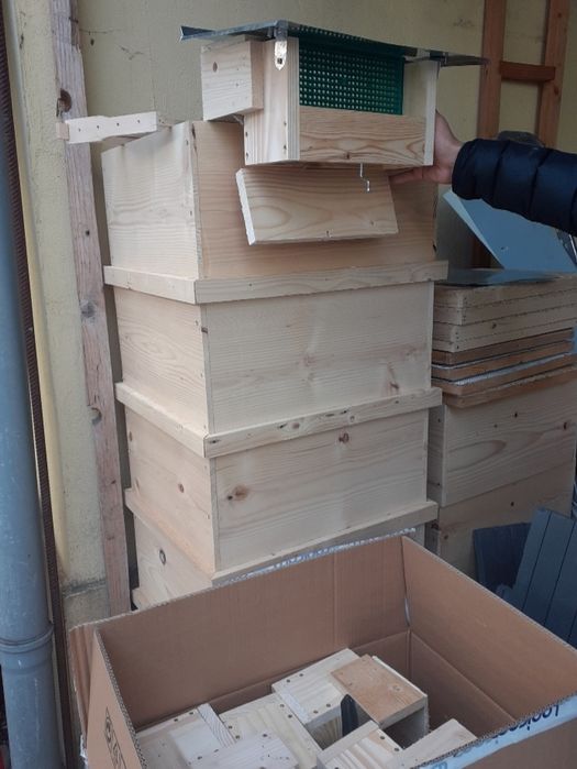 Colectoare de polen pentru rampa