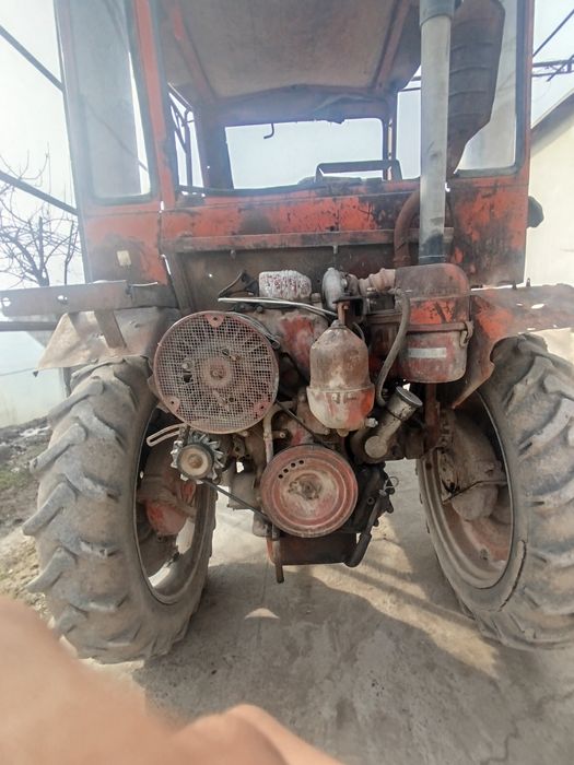 T16 pat pat sotiladi