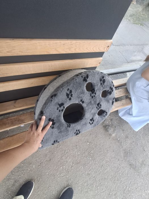 Мысықтарға үй, Домик для кошек.
