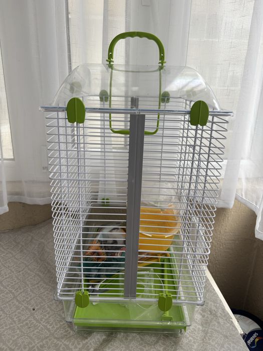 Colivie pentru papagali + accesorii