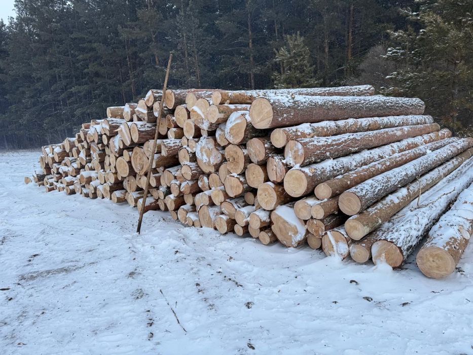 Доска зелека из Россий