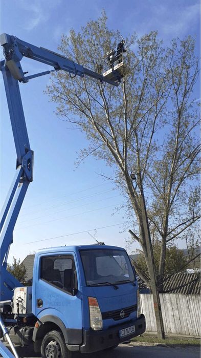 Toaletare copaci folosind Nacela PRB si Camion cu macara