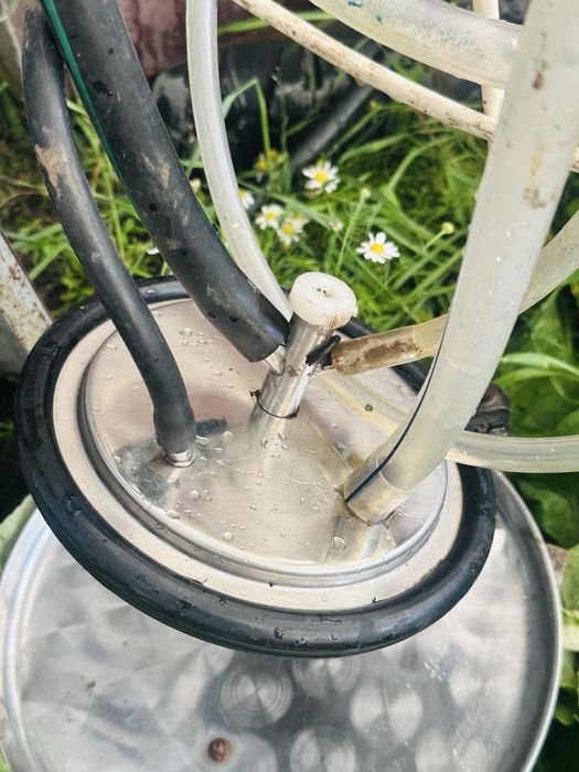 Доильный аппарат «Зорька»