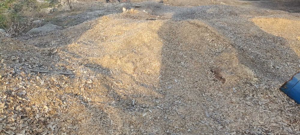 Опилки, стружка, дрова карагачевые