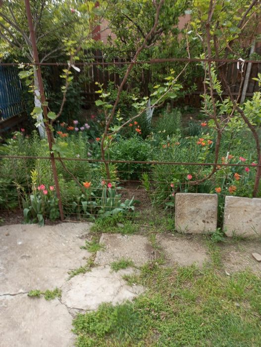 Casa de vazare 670 de mp