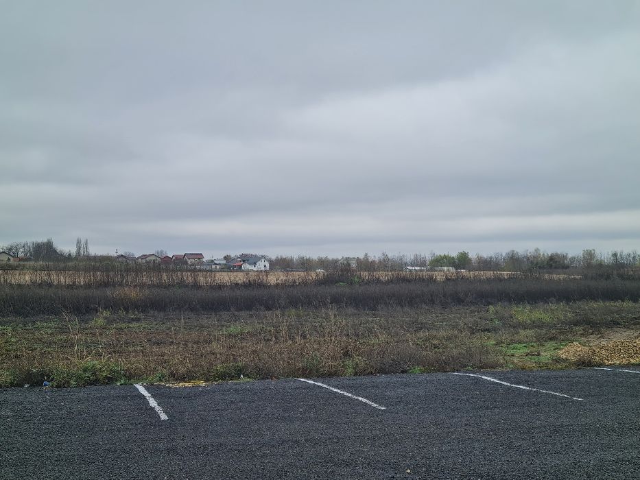 REDUCERE DE CRĂCIUN! Ultimul Lot disponibil!/ Intravilan/32 Euro m2