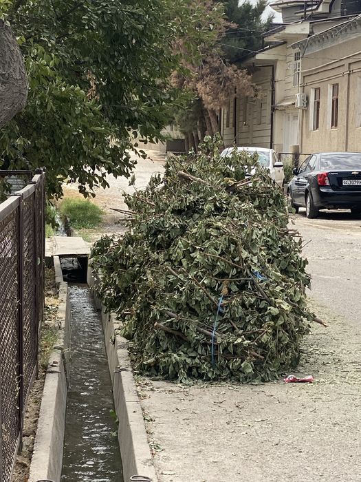 Дрова/ Отинлар