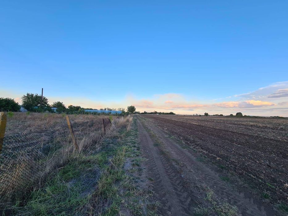 Продава се Парцел в с. Пшеничево, Област Стара Загора - 1100 кв.м за 11 €/кв.м - Снимка #2