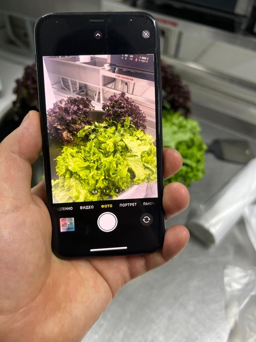 Продается Iphone 11 pro