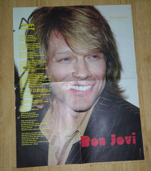 Diverse postere cu cantareti si trupe muzicale