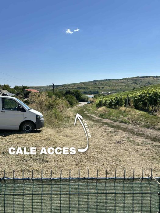 Vând teren intravilan în Huși (suprafață intreagă sau 2 loturi)