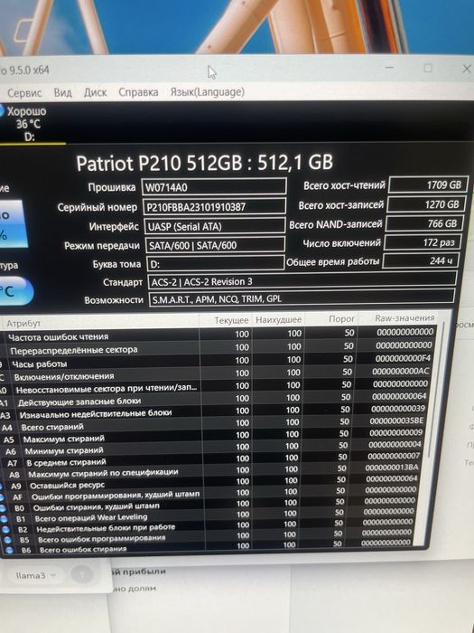 Patriot SSD P210 512Gb