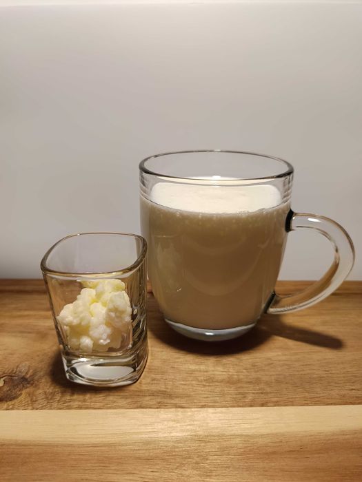 Ciuperca kefir (chefir) de lapte autentică | Granule vii pentru prepararea kefirului | Ghid complet de utilizare inclus | Cultură activă