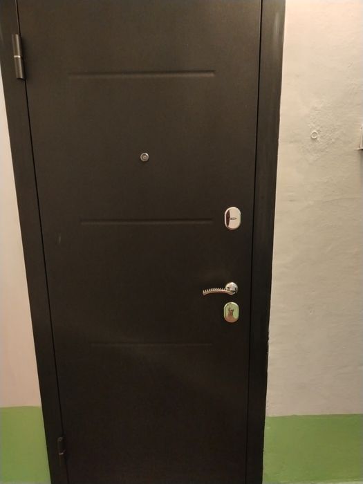 Дверь входная  железная.