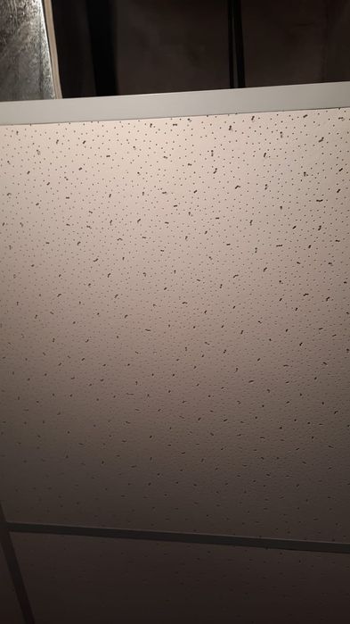 Подвесной потолок Армстронг