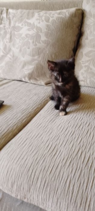 Сердечно над глазиком-удача в жизни!