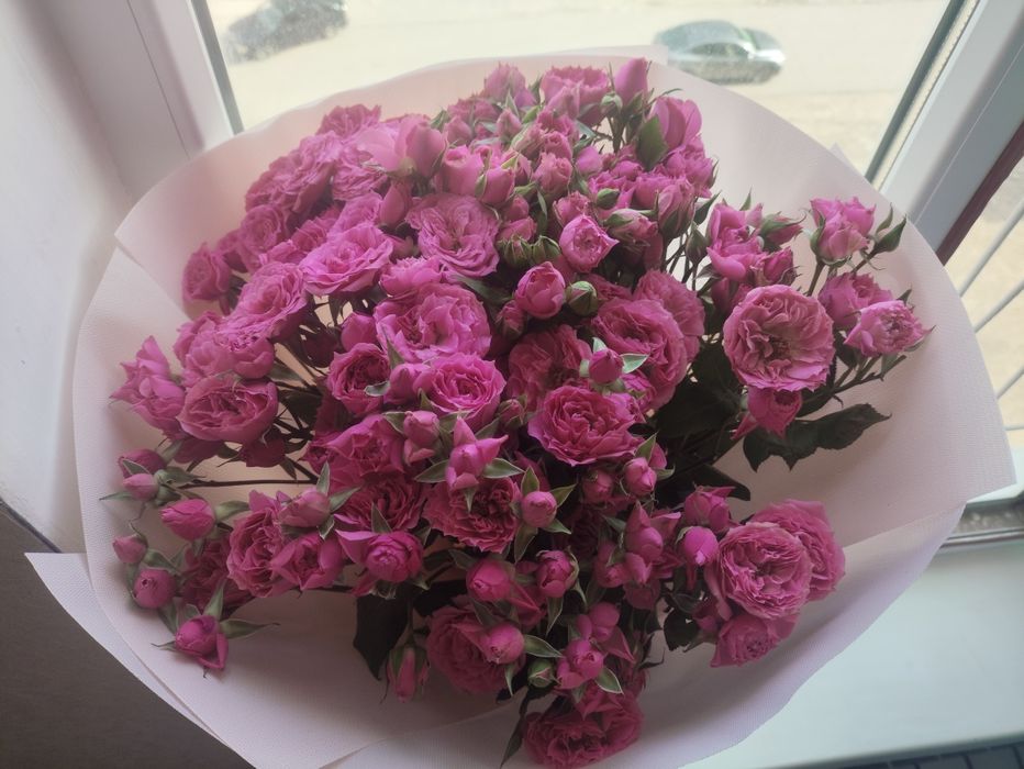 Свежий Кустовая Роза сегодня