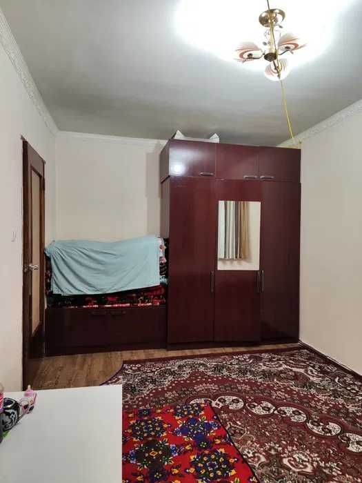 Сампи 1 комнатная