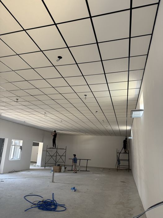 Армстронг , osma armstrong patalok