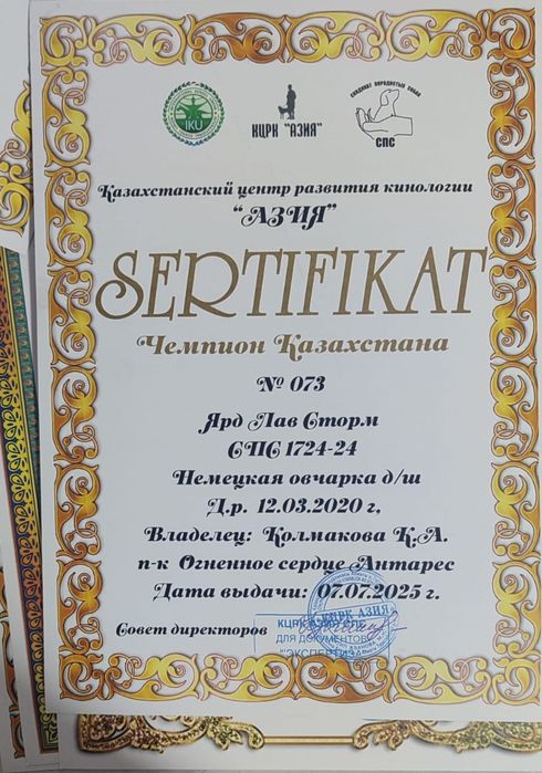 Немецкие овчарки