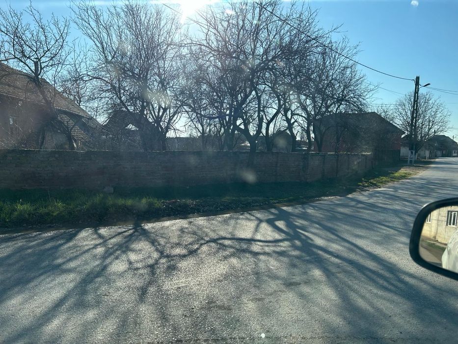 Casă Tăut cu 2 clădiri și teren generos (2507mp)