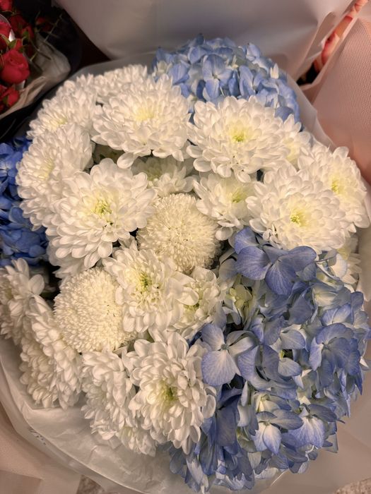 Цветы очень свежие