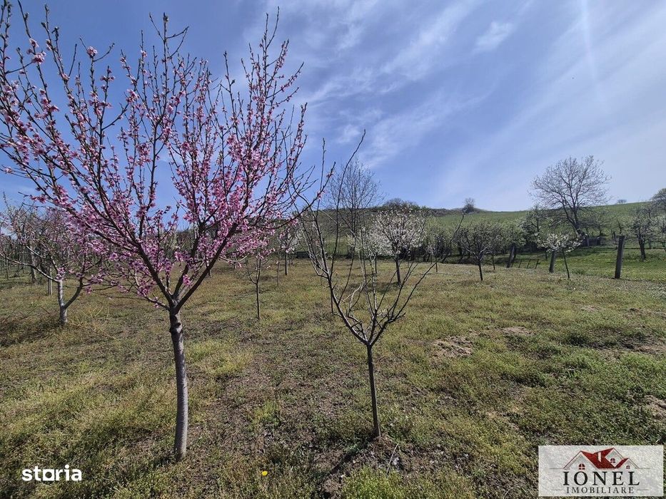 Vanzare casa in Ocna Mures - Uioara de Jos