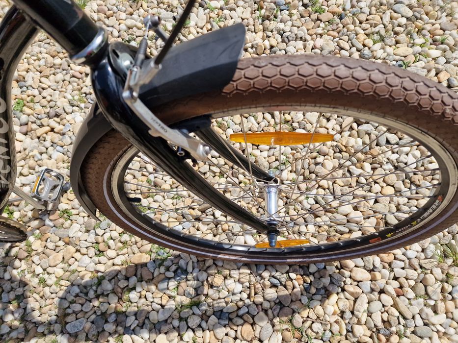 Bicicleta coster venice