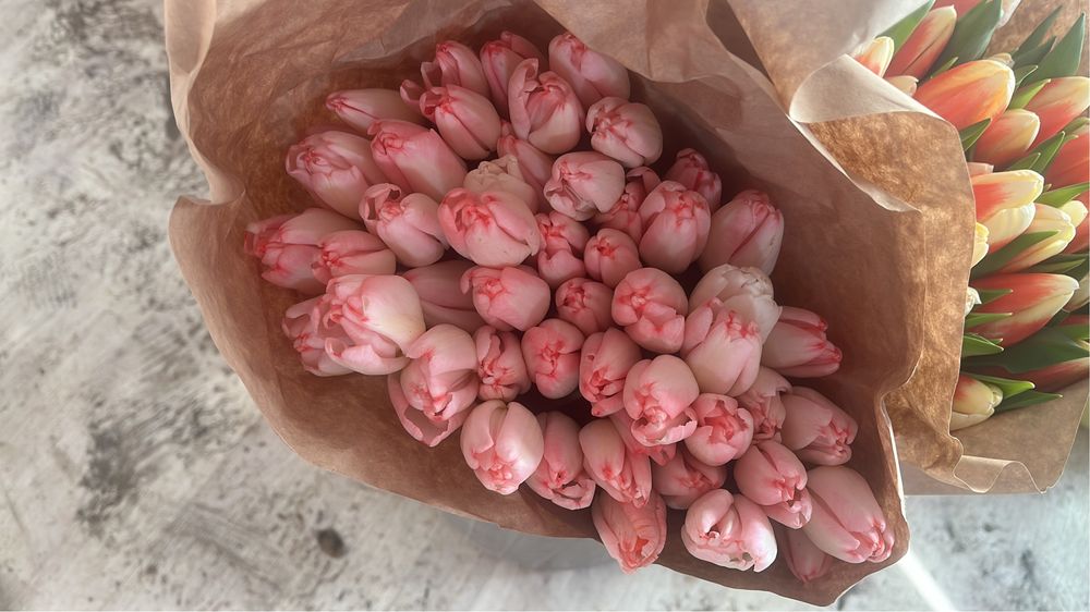 Тюльпаны в наличие и на заказ