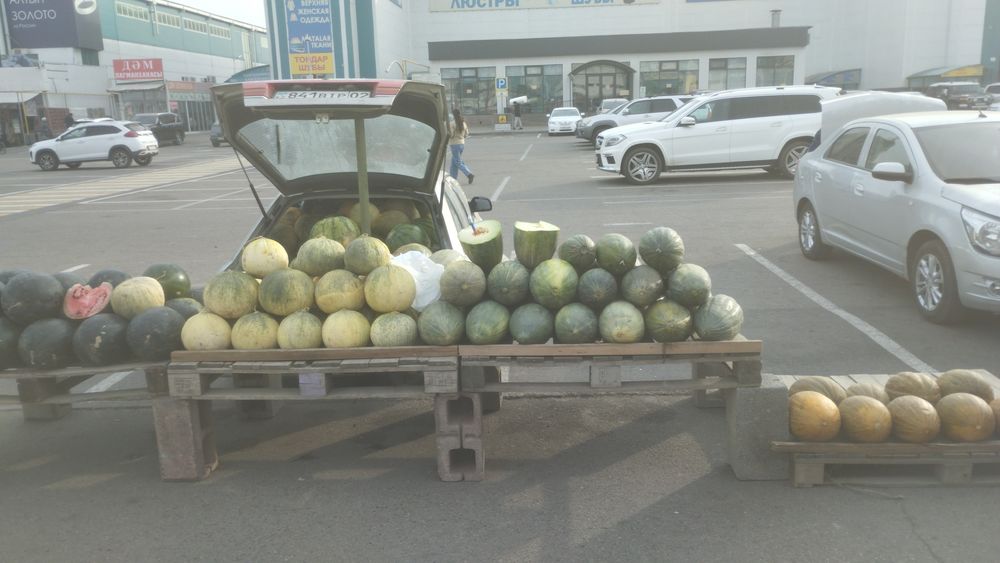 Арбуз Дыня зимный