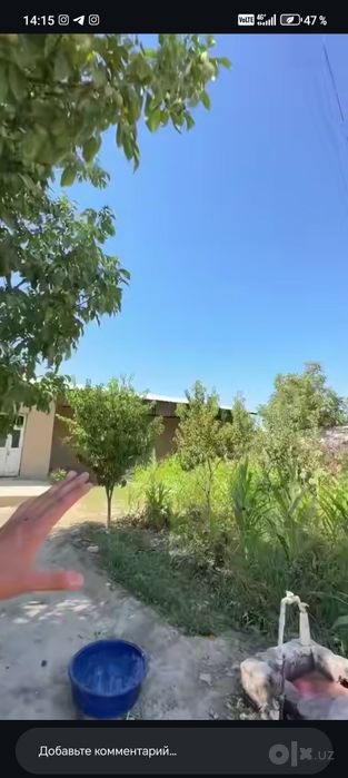 Xovli dacha sotiladi 5 cotik