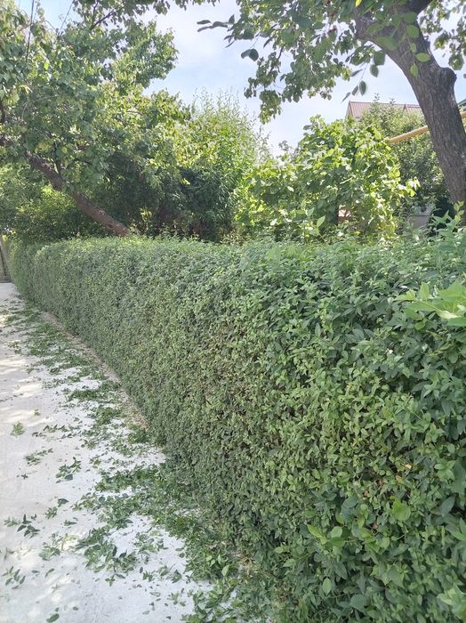 Archa kesish va izgritga  shakl berish xizmati