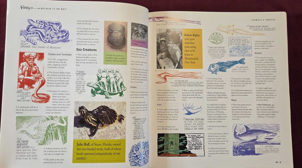 Encyclopedia of the Bizarre