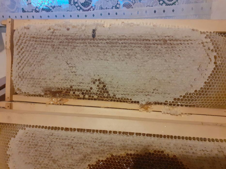 Ceva dulce Sanatate curăță