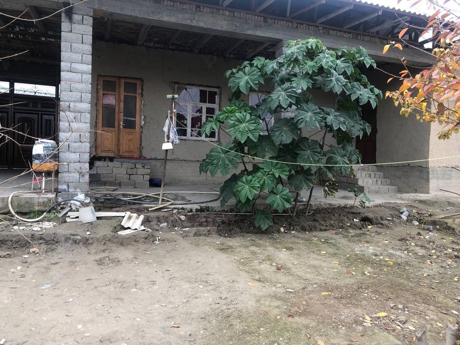 Ховли сотилади срочнога