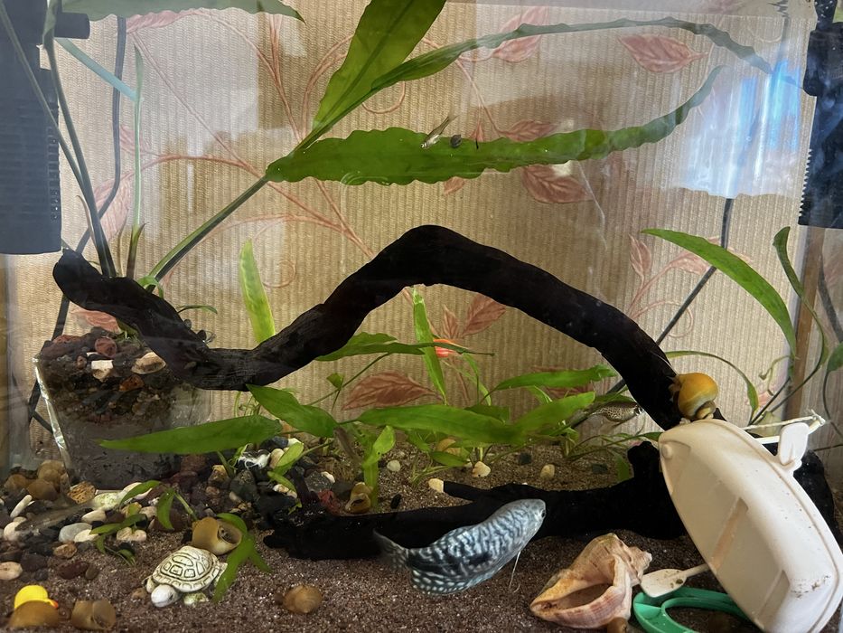 Продам аквариум или обмен