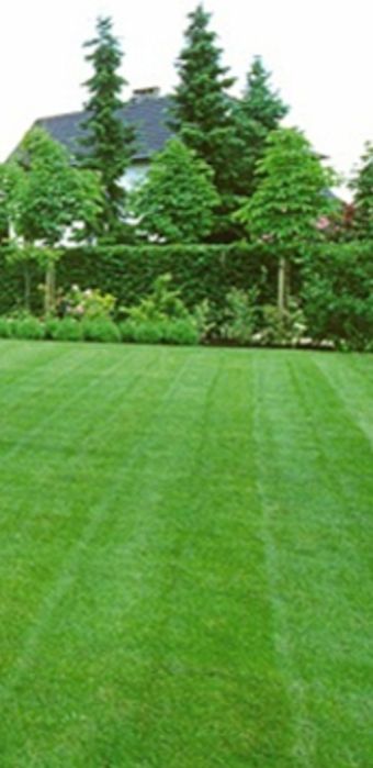 Gazon rulou si montaj