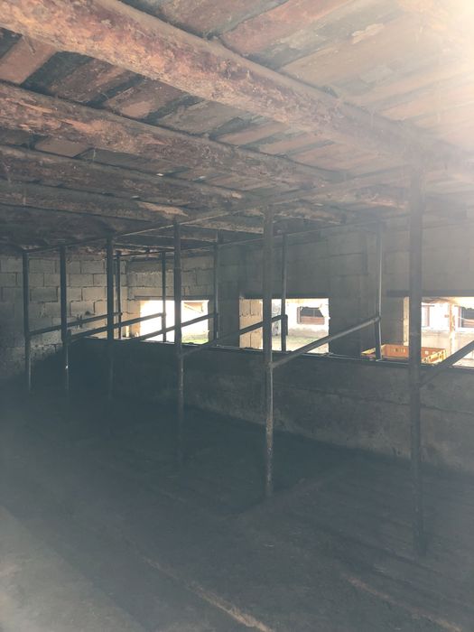 Фазенда Сатылады Откорм Баз