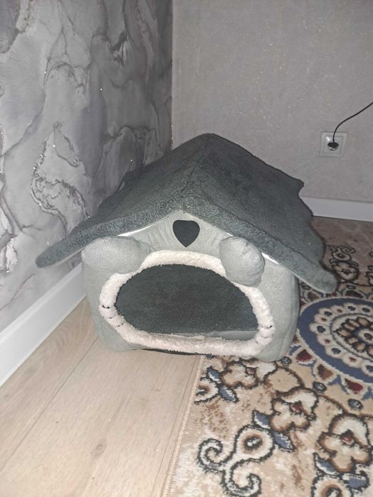 Отдам кота в добрые руки