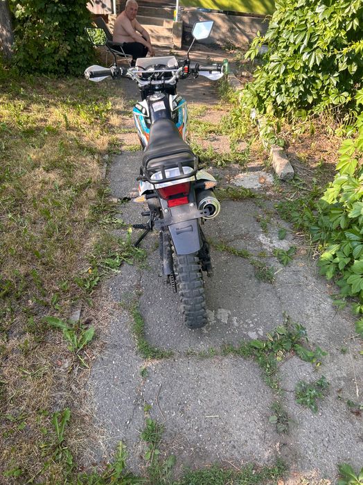 Recer panter 250