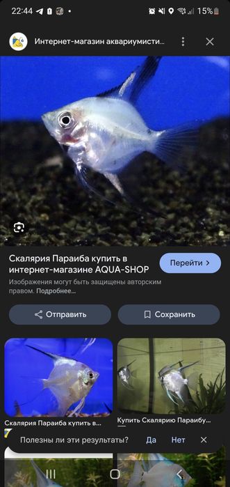 Vueliviy skalarila sotiladi yoki severumlaga abmen